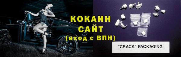 ешки Горняк