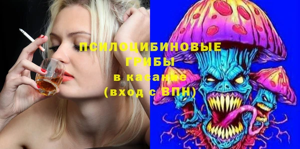 индика Гусев
