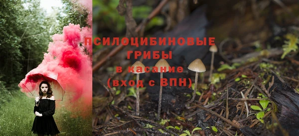 бутират Горнозаводск