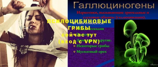 ешки Горняк