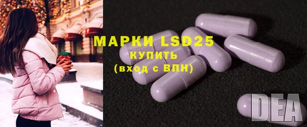 ешки Горняк