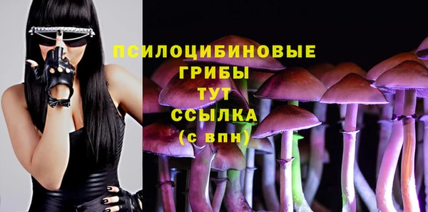 ешки Горняк
